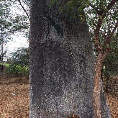 Iron Age Menhir