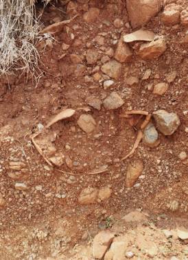 Iron Age Burials