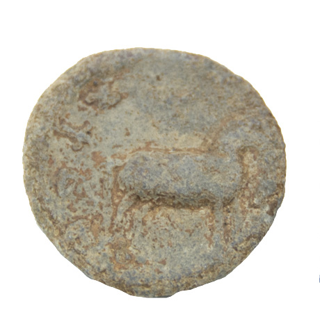 Hiranyaka Coin