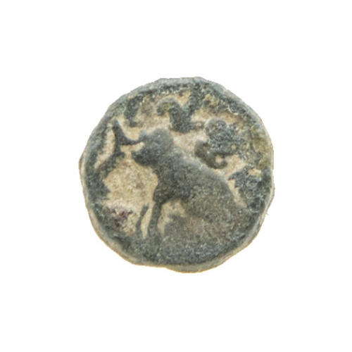  Satavahana Coin