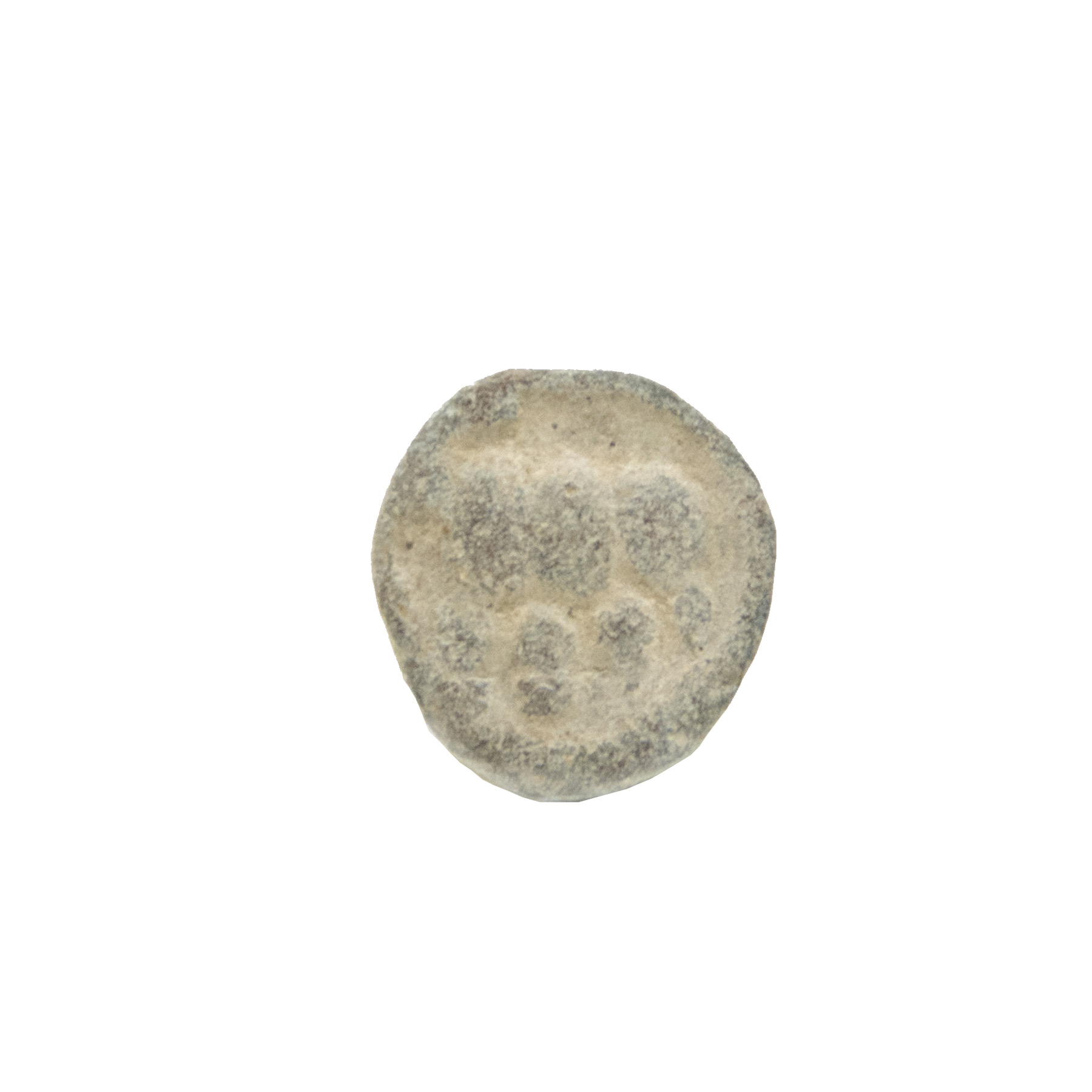  Ikshvaku Coin