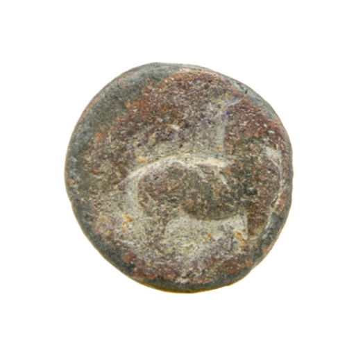 Hiranyaka Coin