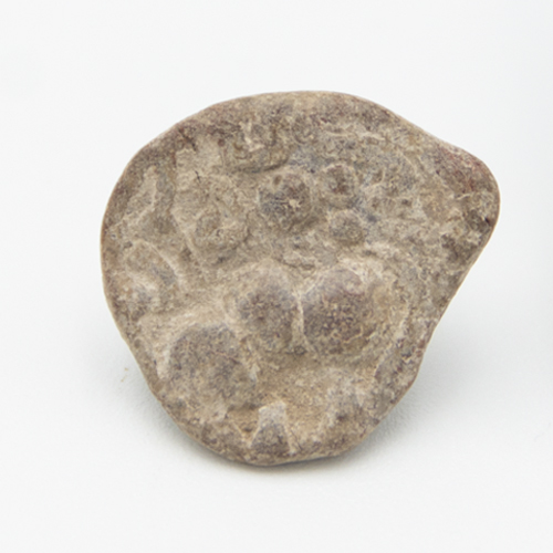 Ikshvaku Coin