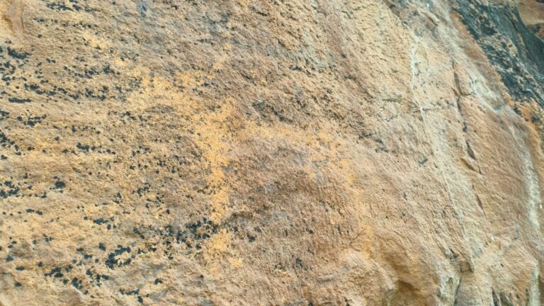 Neolithic Bruisings