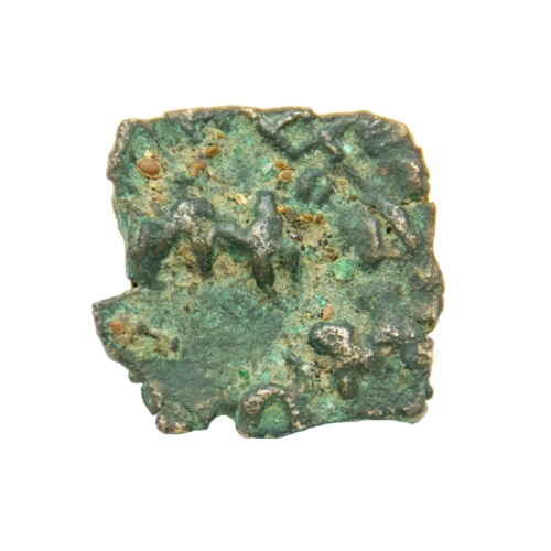 Samagopa Coin