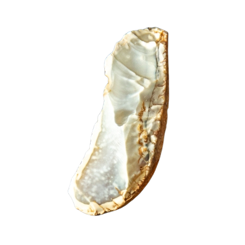 Microlith