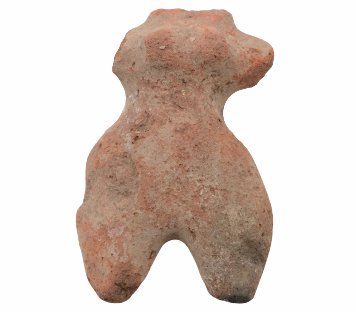 Female torso